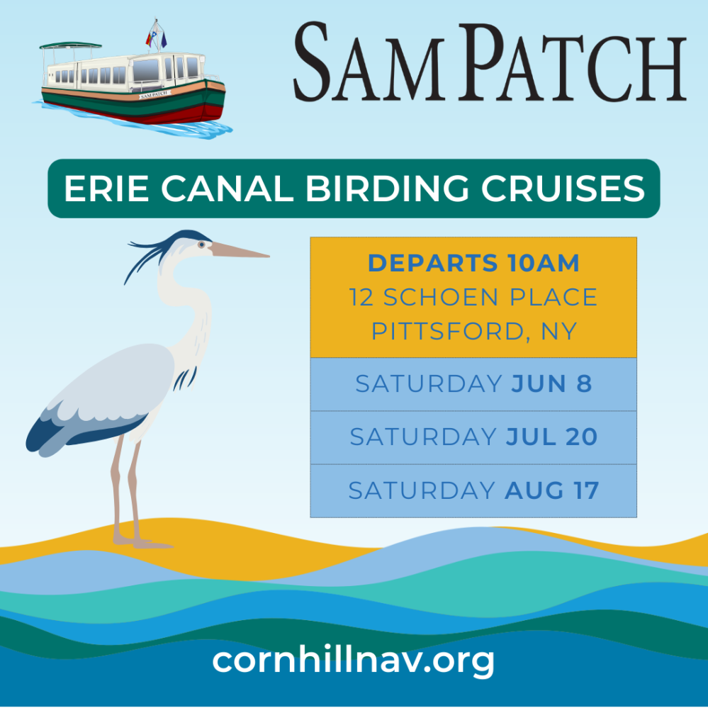 Sam Patch Birding Cruises 2024