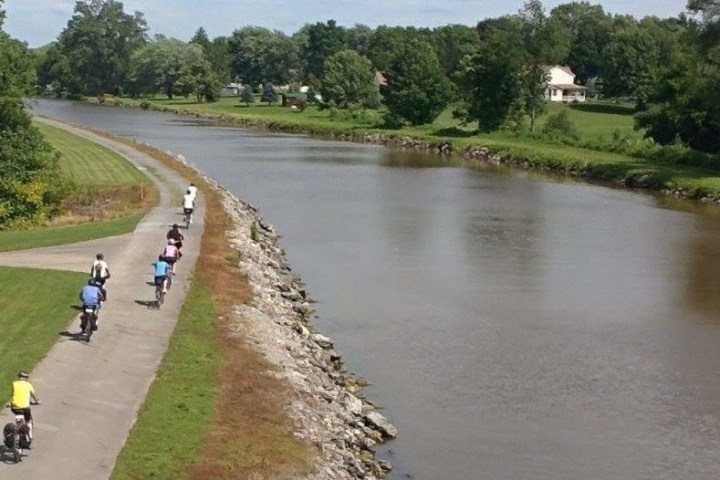 a path with trees on the side of a river