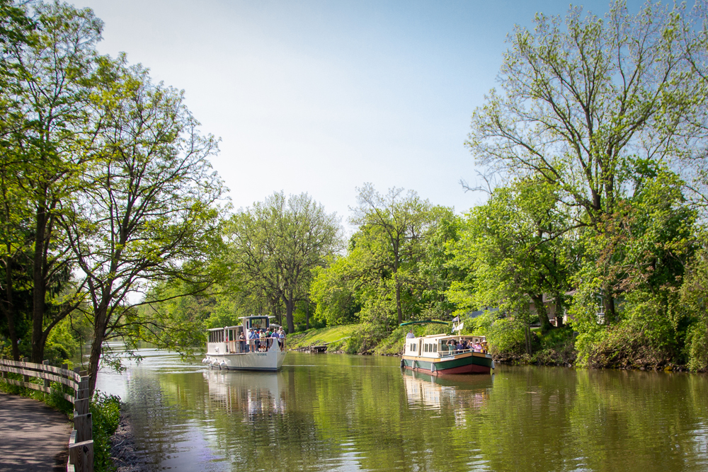 a small boat in a body of water surrounded by trees