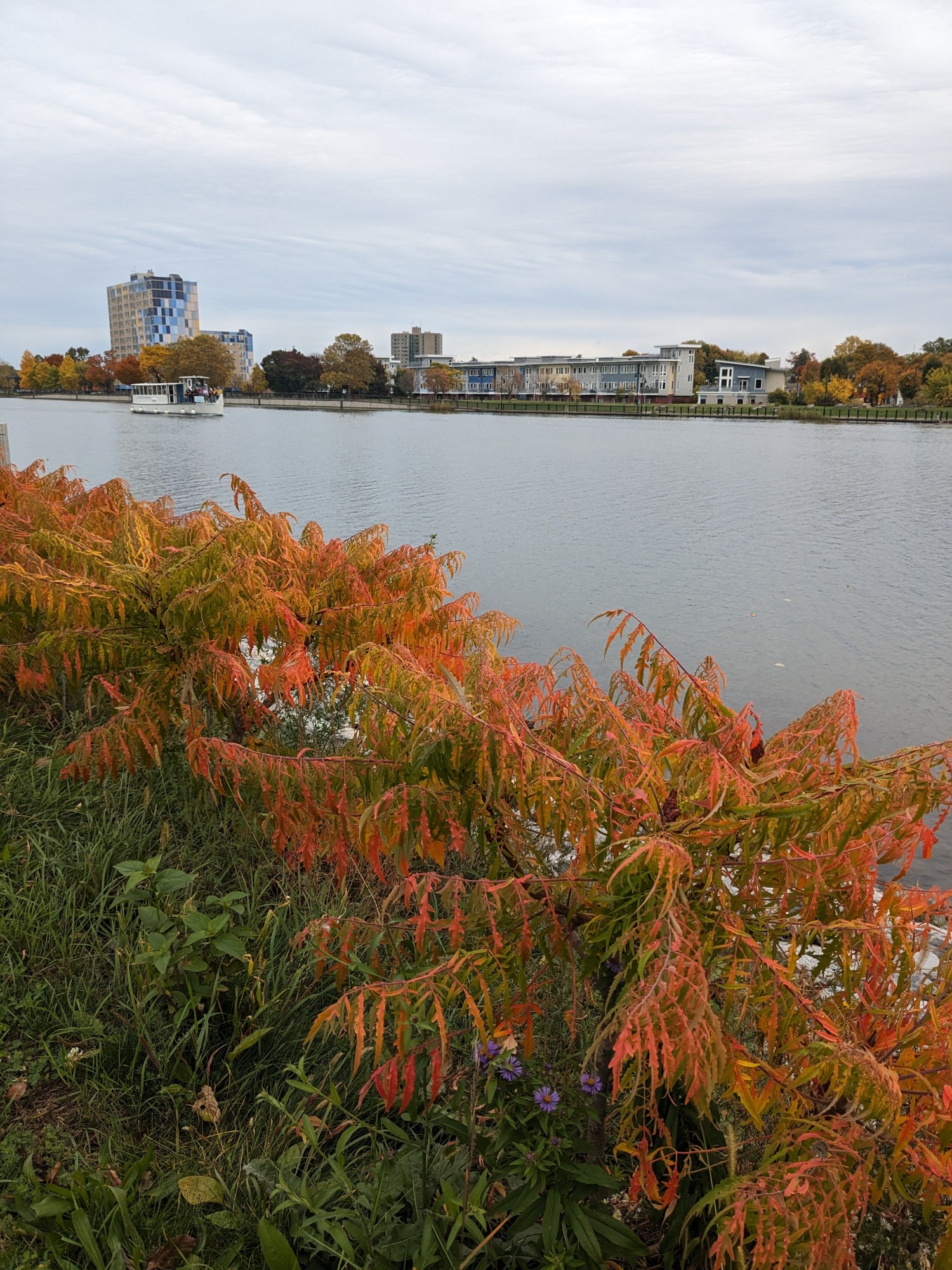 PXL_20231025_183856165.MP