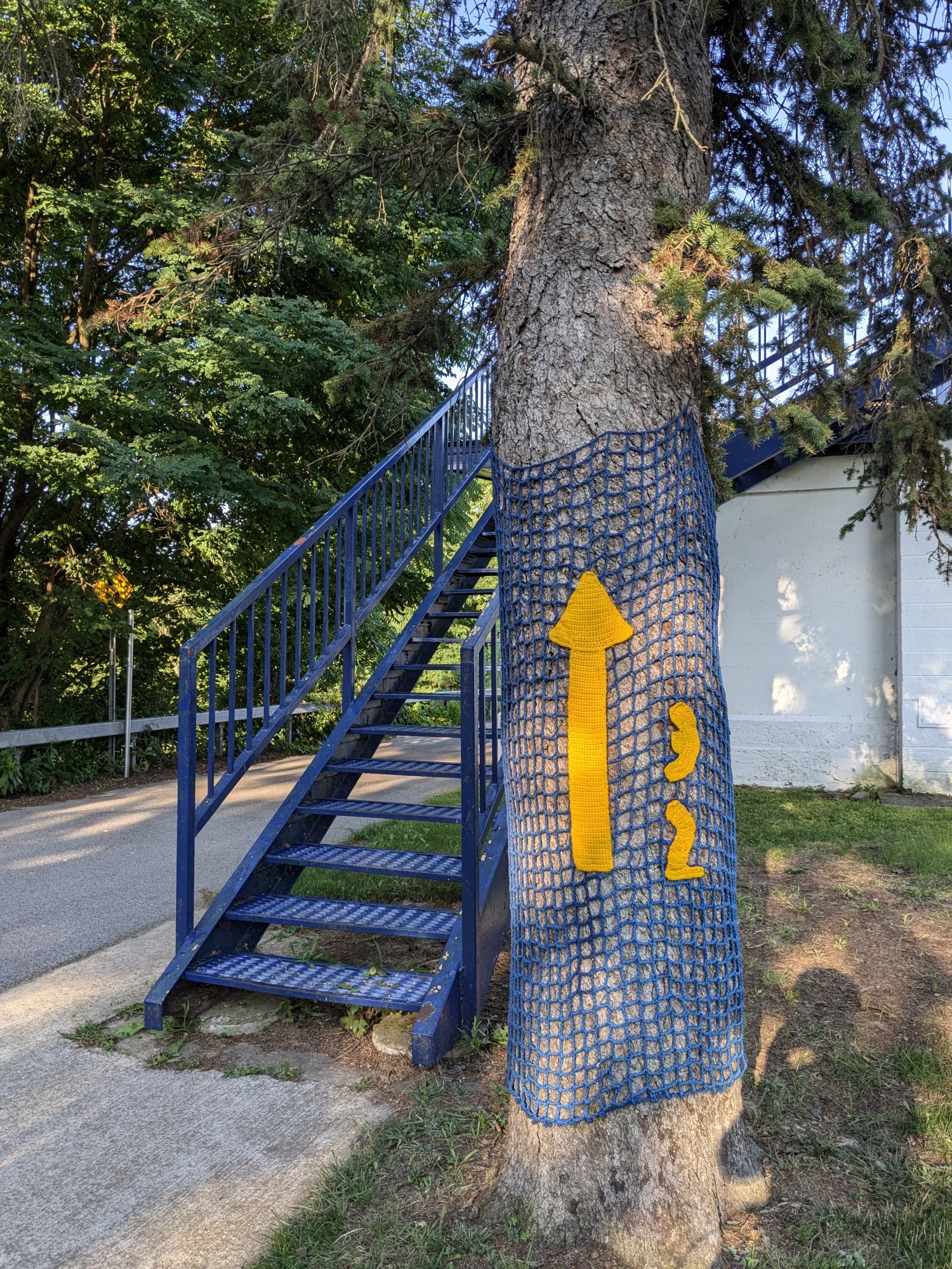 PXL_20240718_224837187.MP