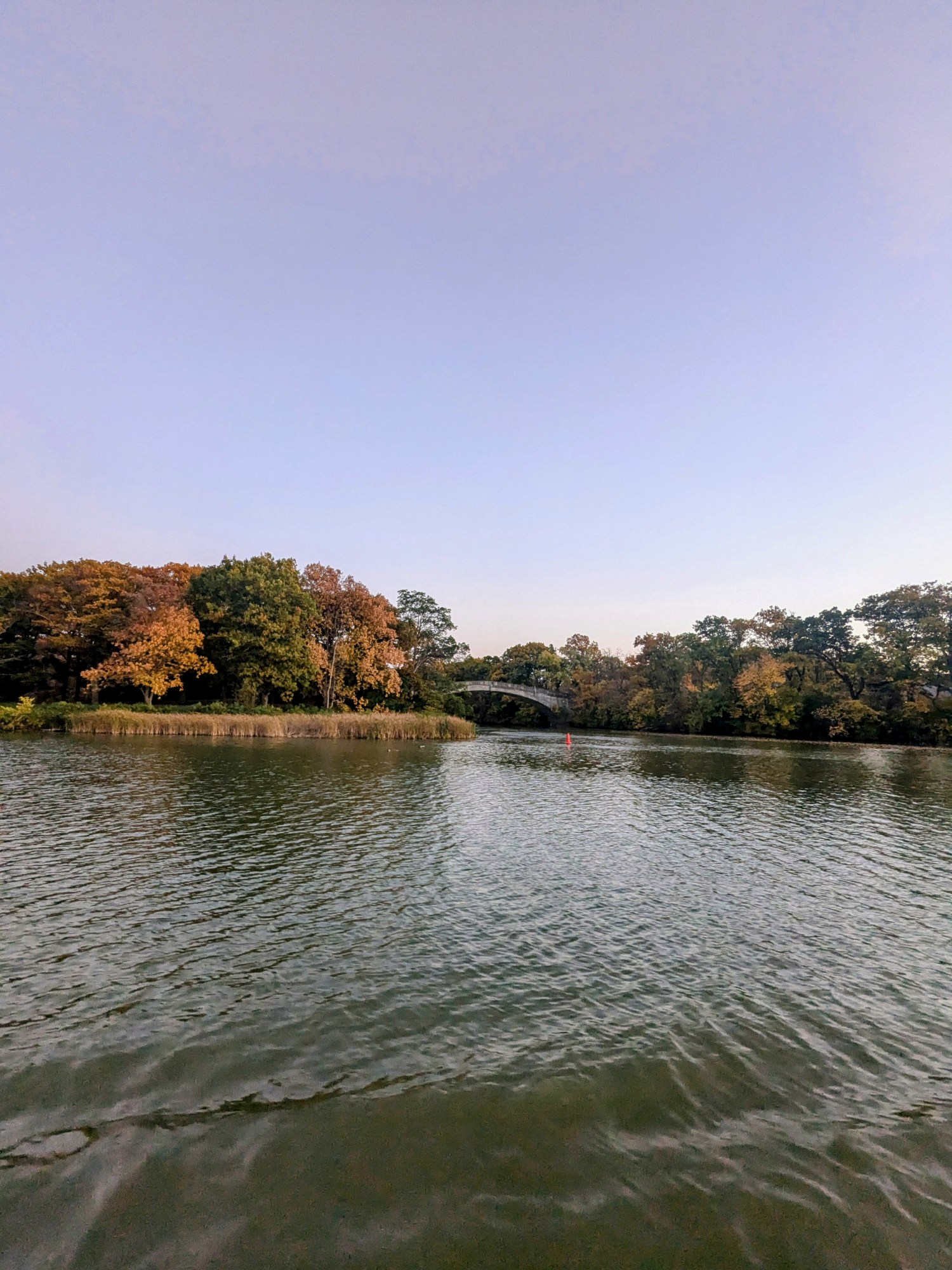 PXL_20241021_222947814.MP~2