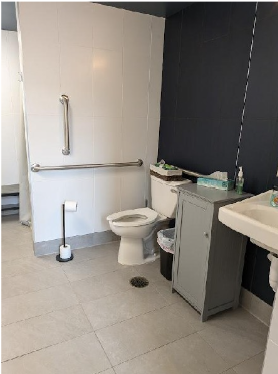 Accessible bathroom with toilet, grab bars, sink, shower, and cabinet.
