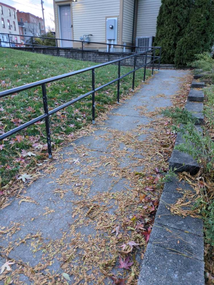 Sidewalk with fallen leaves, bordered by grass and a building on one side, metal railing along the path.
