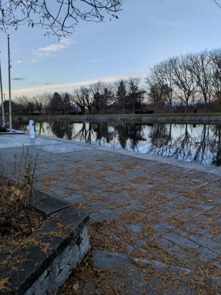 Paved path beside a calm canal with leafless trees reflecting in the water.