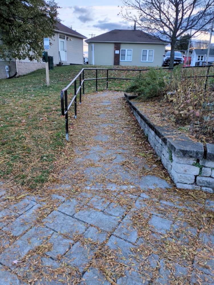 Leaf-covered path with railing leads to houses and a tree in autumn.